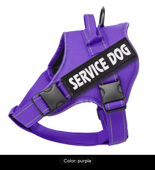 Dog Harness